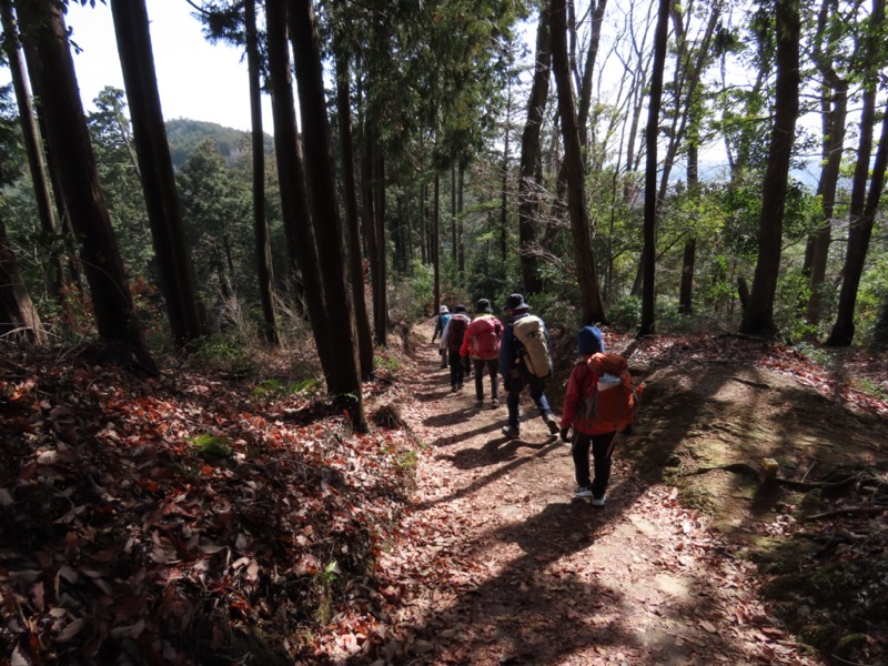 日和田山、物見山